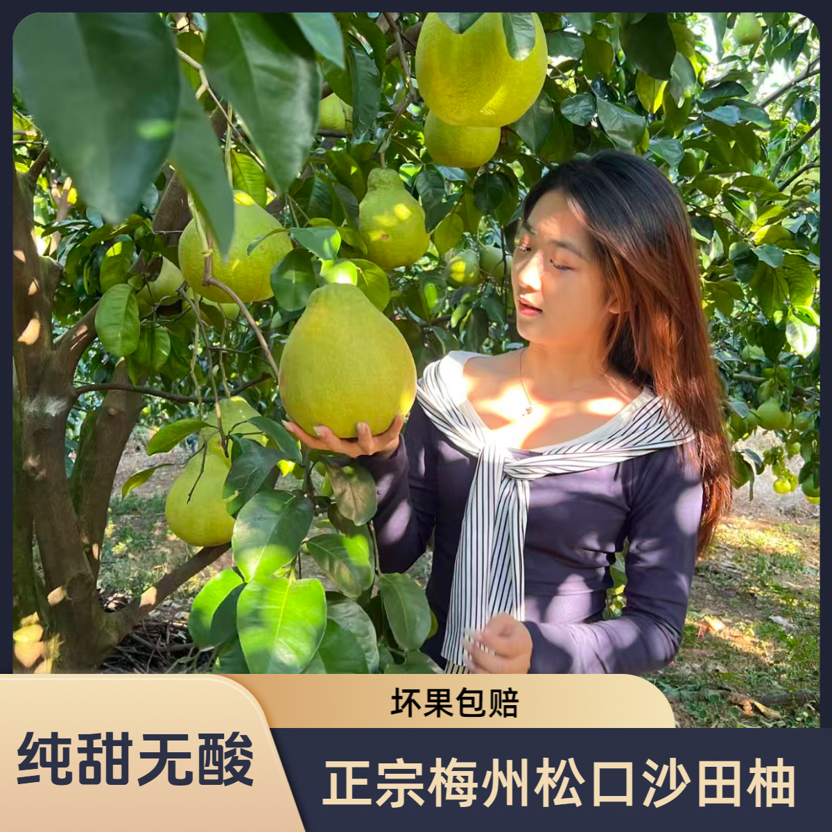 【纯甜无酸】正宗梅州沙田柚白心大果新鲜当季香甜多汁~1