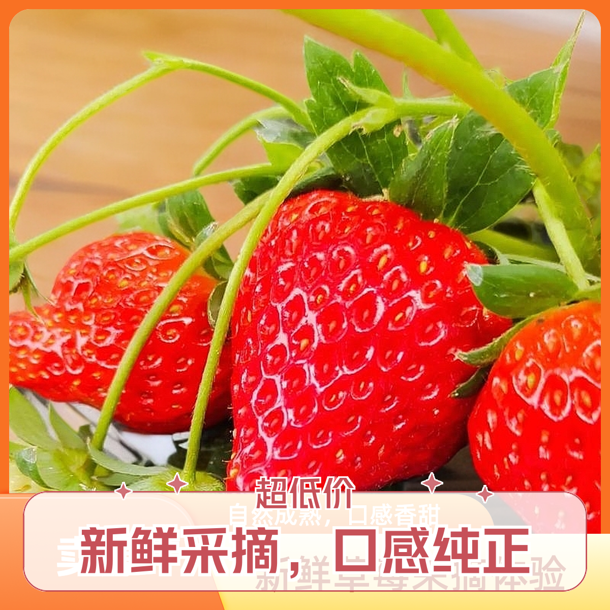 【北京平谷】99红颜草莓/阳光不改/新鲜如初/京津冀包邮