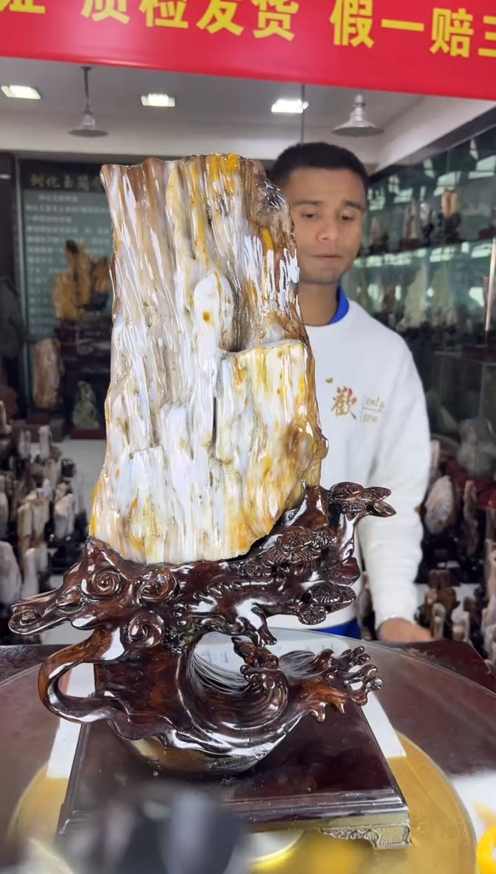 未镶嵌珠宝奇石硅化玉缅甸天然树化玉精品居家摆件