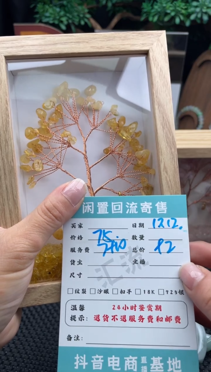 未镶嵌手镯翡翠?**?手串