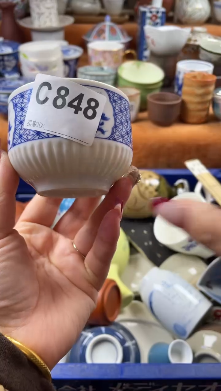 【闪购商品】C848                