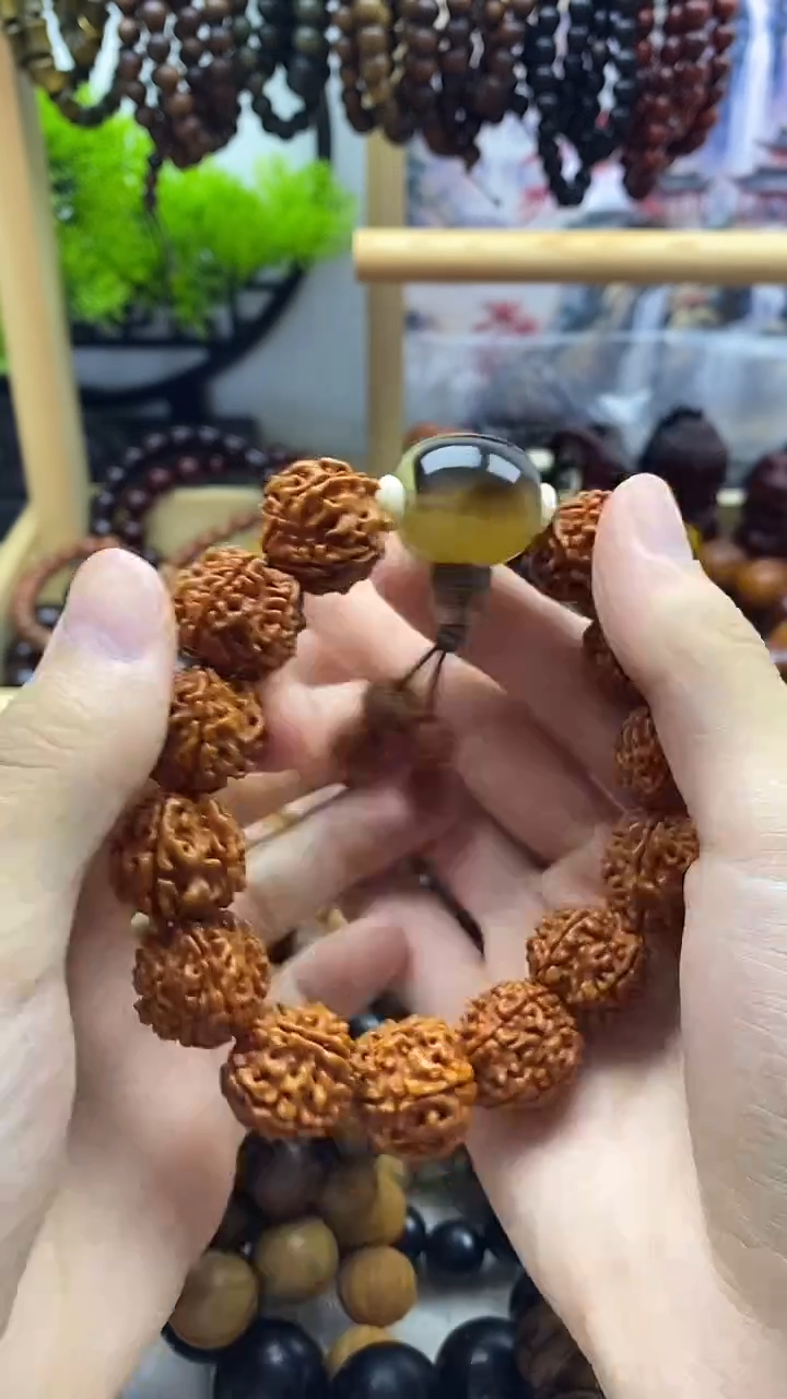 木————————————————————