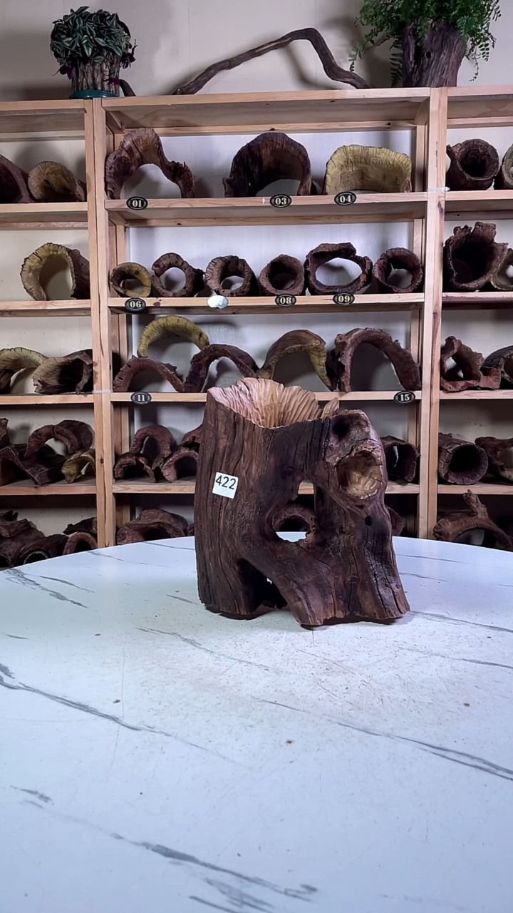 请****米云南紫柚木造景沉木422