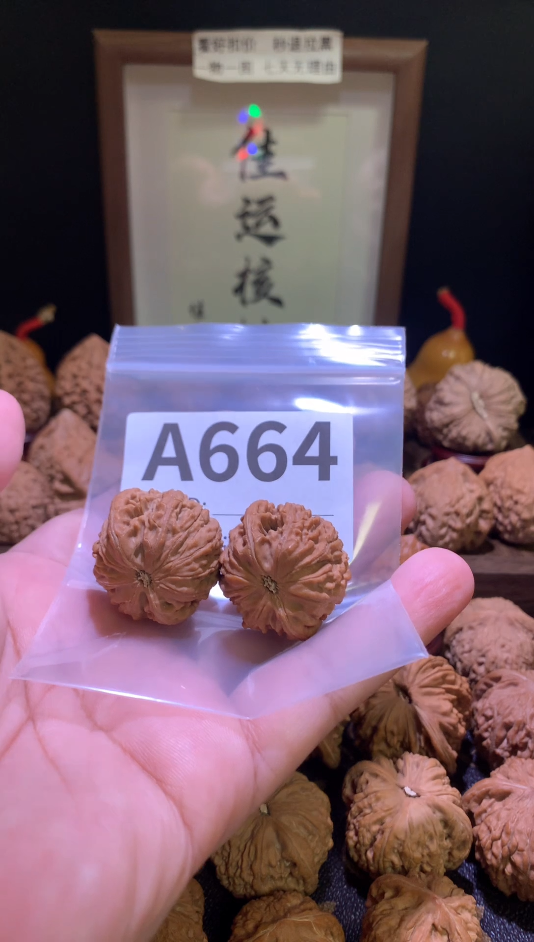 把件文玩核桃顽*龙珠32尺