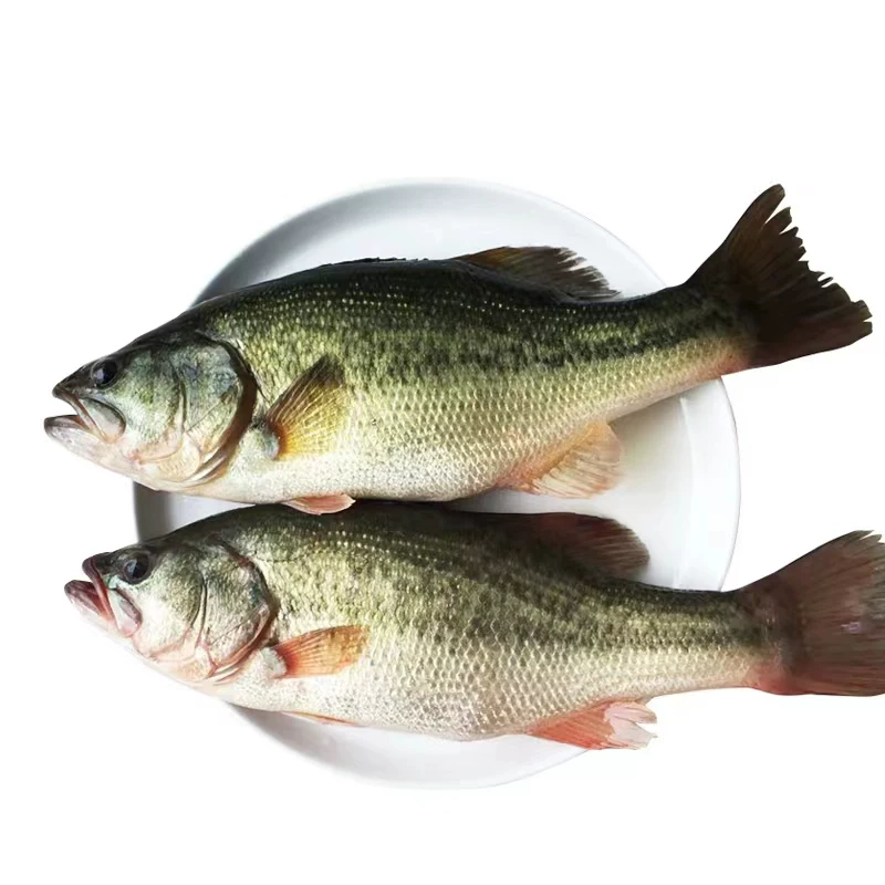 现称鲜活鲈鱼（重量及金额以实际称重为准）单价20.80元/斤