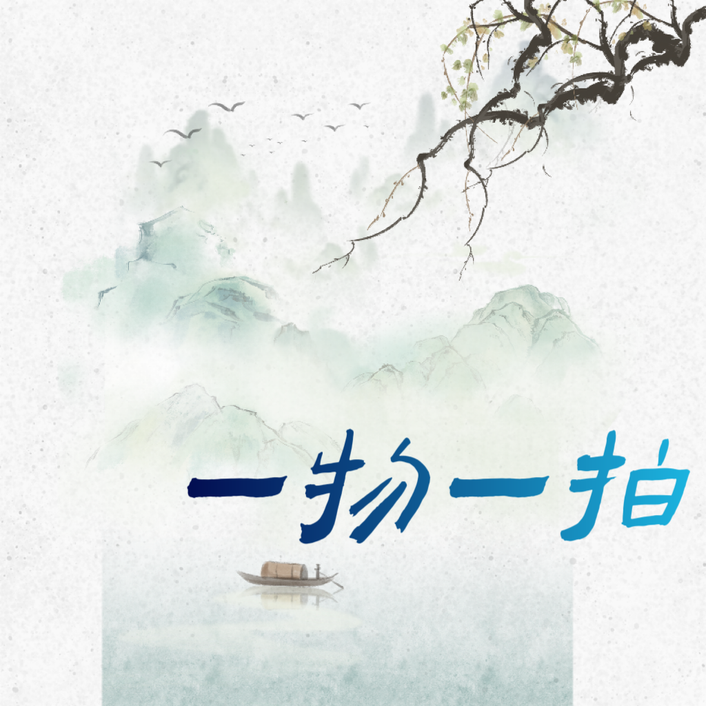 室内造型绿植一物一拍兰天竹