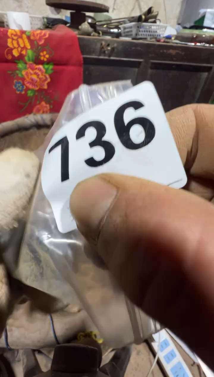 悟*08180老王直播间专属链接