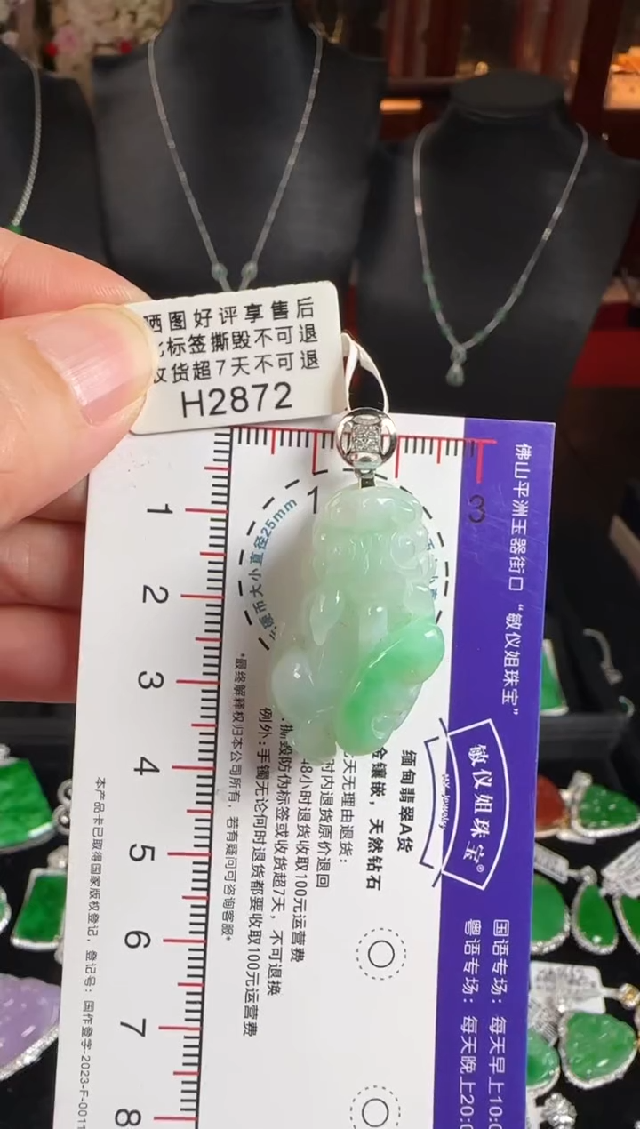 颈饰未镶嵌翡翠H2872貔貅