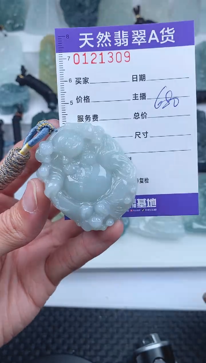 【闪购商品】翡翠颈饰未镶嵌        309