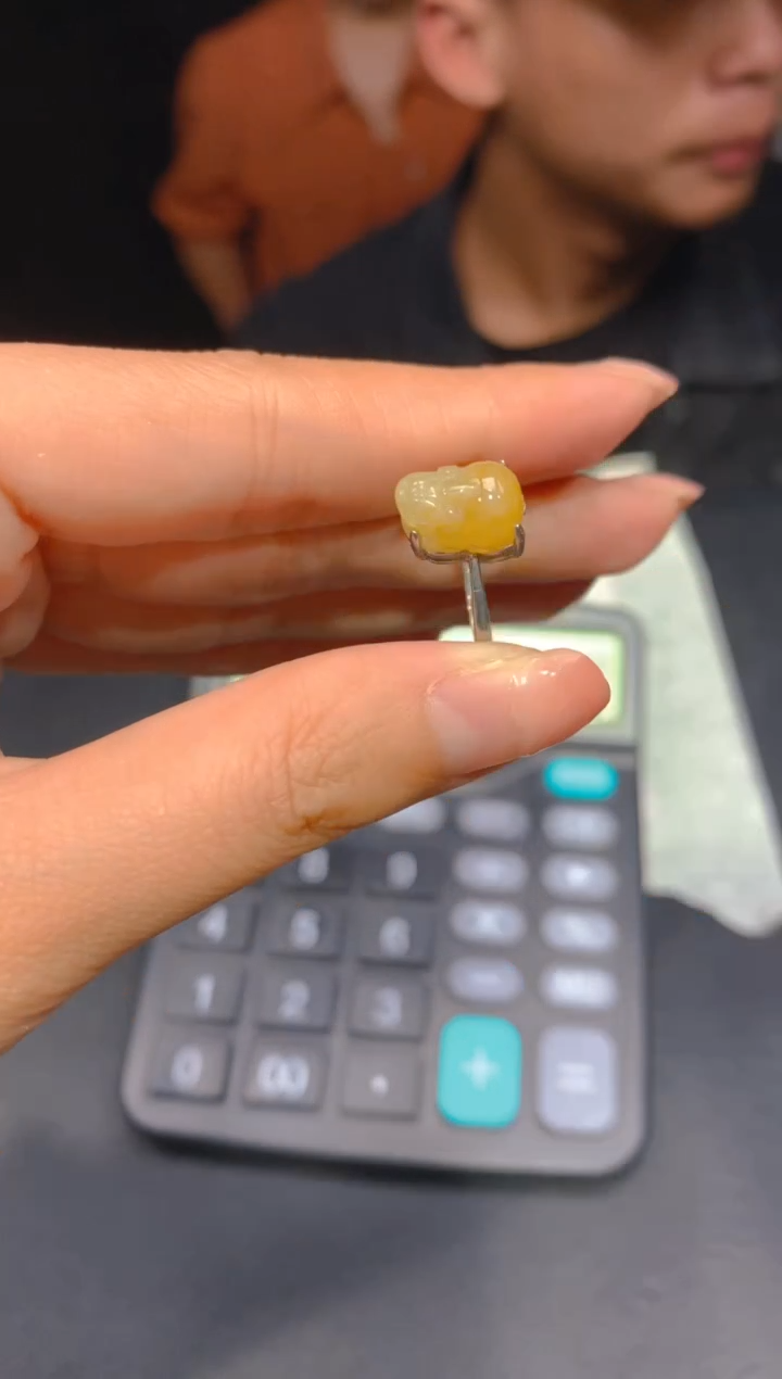 【闪购商品】定制翡翠未镶嵌259多样性发货（发其一）