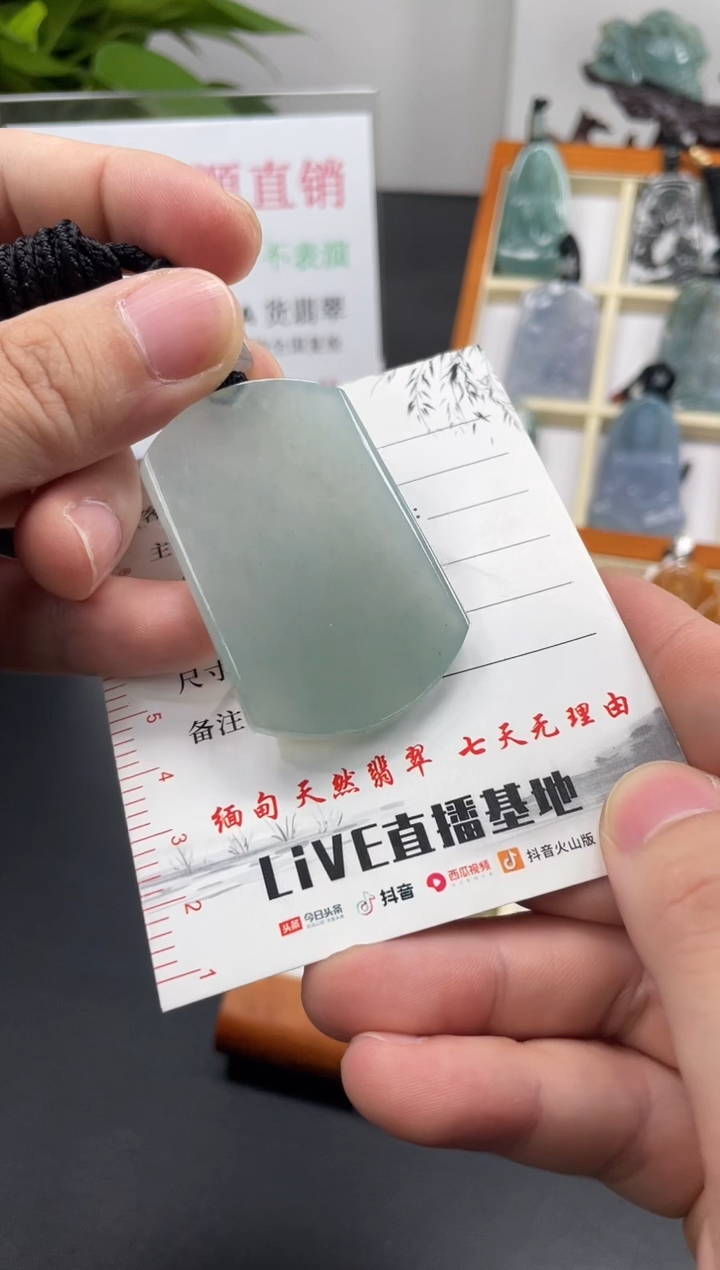 【闪购商品】翡翠颈饰未镶嵌无事牌