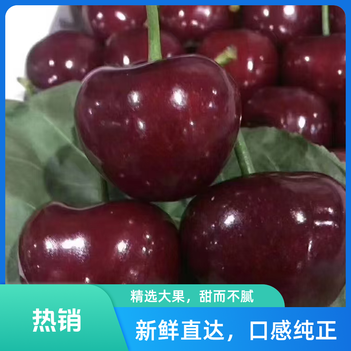 【千玺优选】精品美早樱桃 升级发货 口口爆汁2J-5J（净重1.8斤）