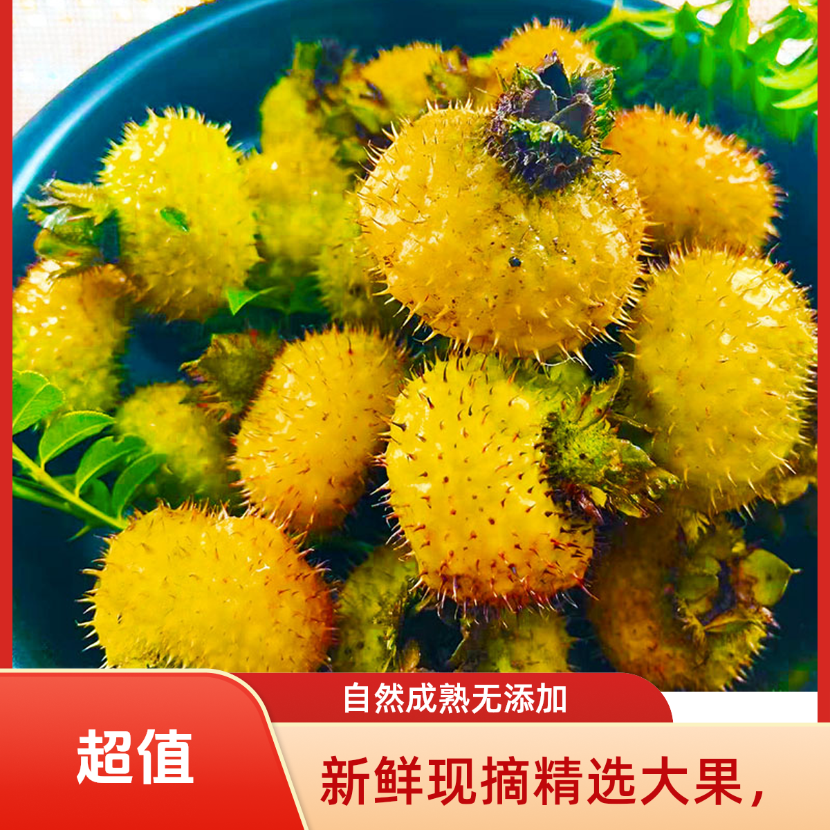 贵州野生刺梨鲜果维C之王泡沫箱加冰袋包装可泡酒泡水