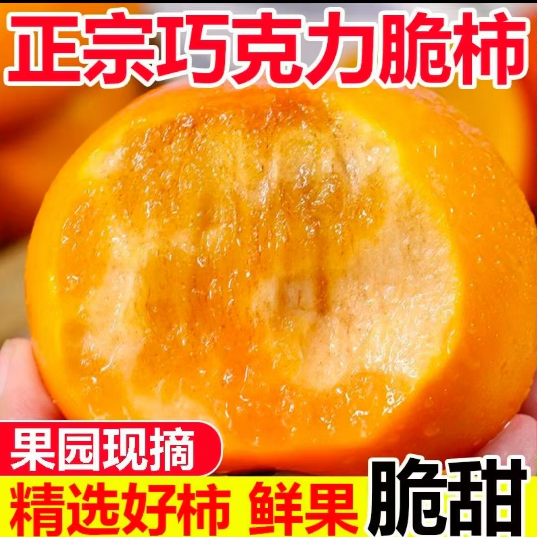 新鲜现摘巧克力脆柿不涩口冰糖心当季水果