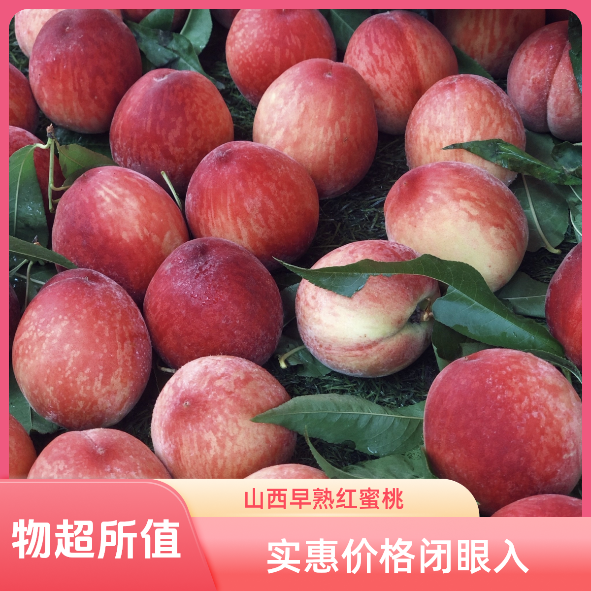 山西早熟红不软脆蜜桃脆甜爽口香甜多汁