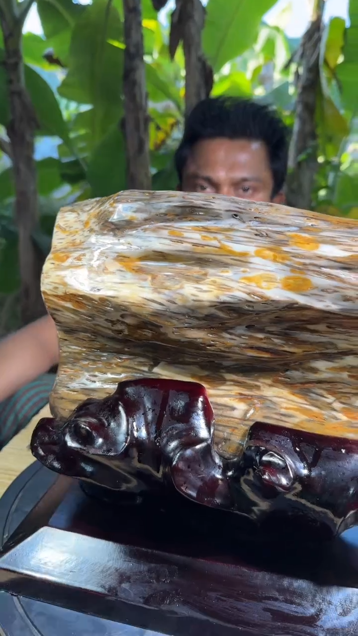 【闪购商品】硅化玉珠宝奇石未镶嵌拍一发一