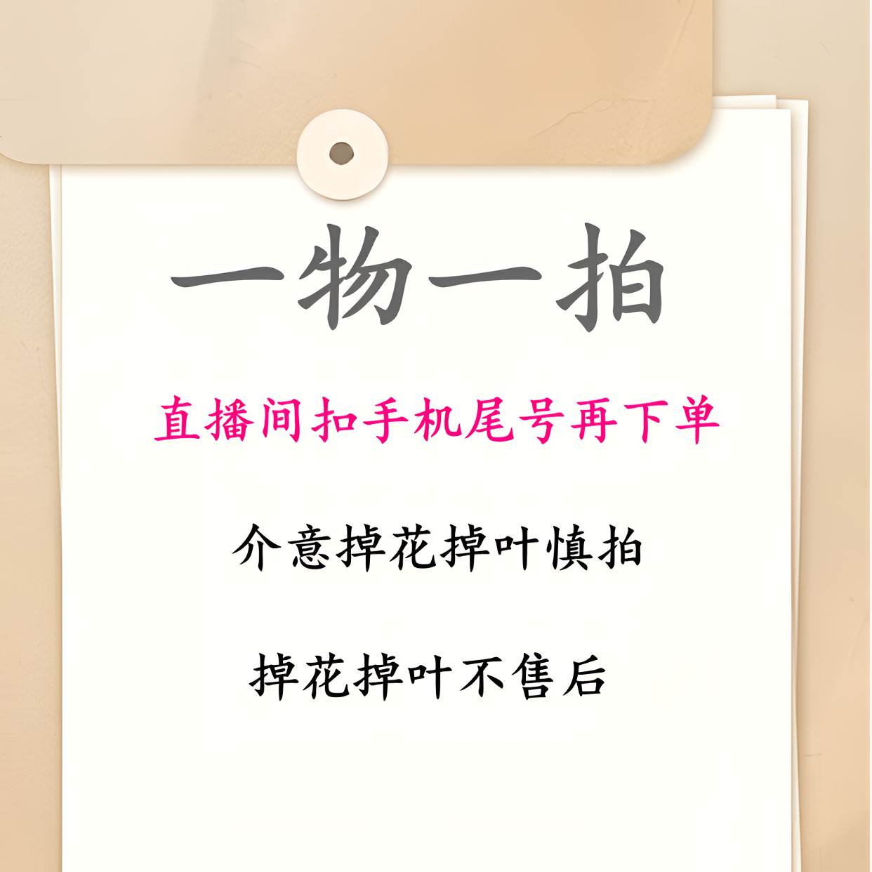 【一物一拍688专享链接】三角梅直播间