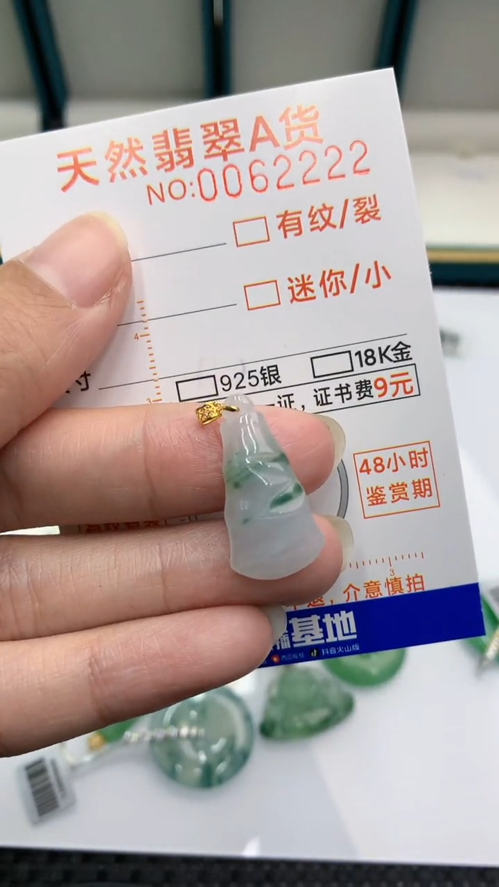 【闪购商品】翡翠颈饰18K金镶嵌            8