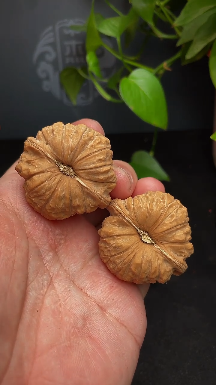 【闪购商品】文玩核桃把件南瓜墩43尺（全品，福利）