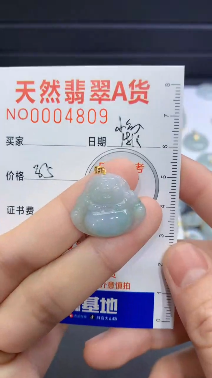 【闪购商品】翡翠颈饰未镶嵌翡翠