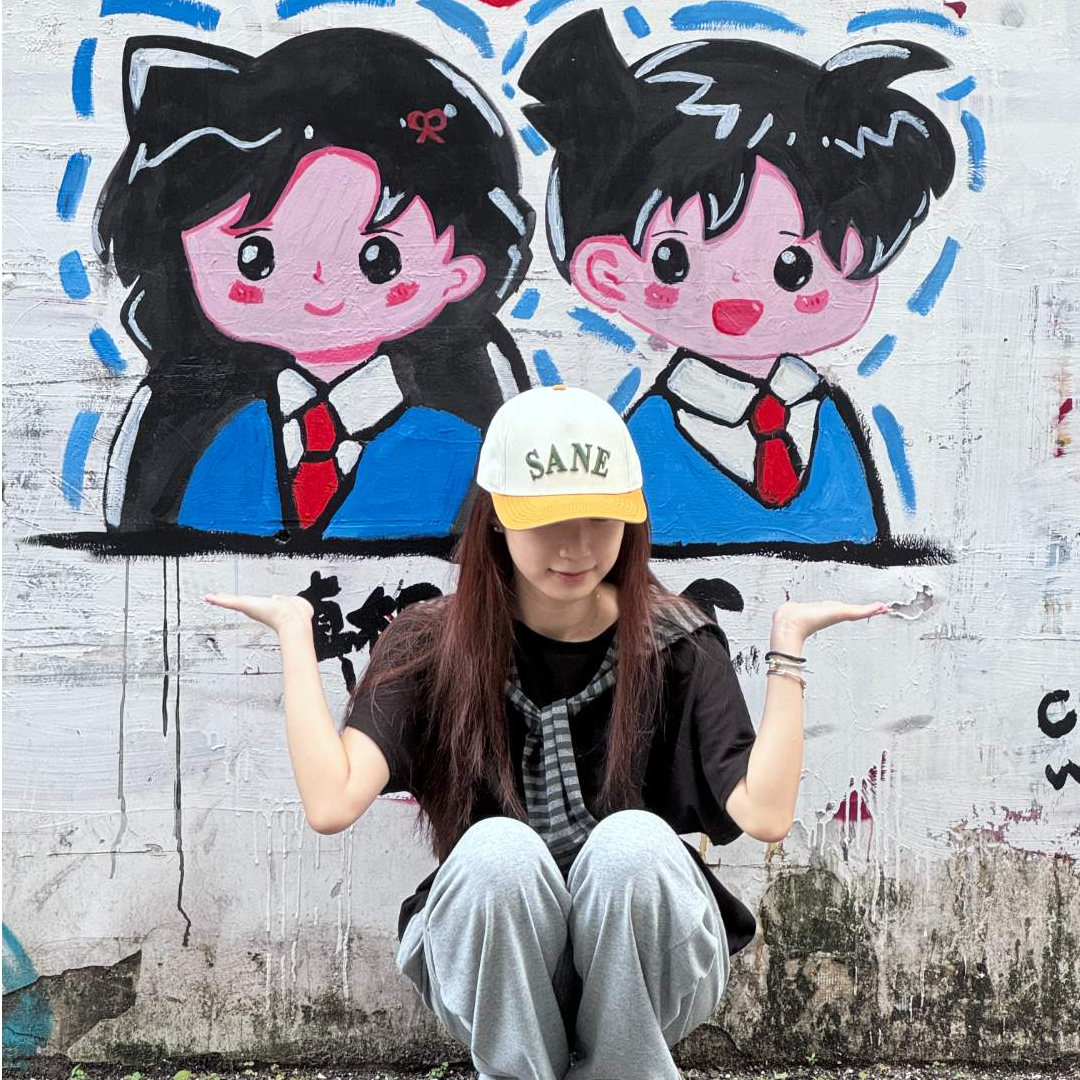 叁异《原创》硬顶百搭宽帽檐微弯休闲简约立体刺绣棒球帽帽子鸭舌帽