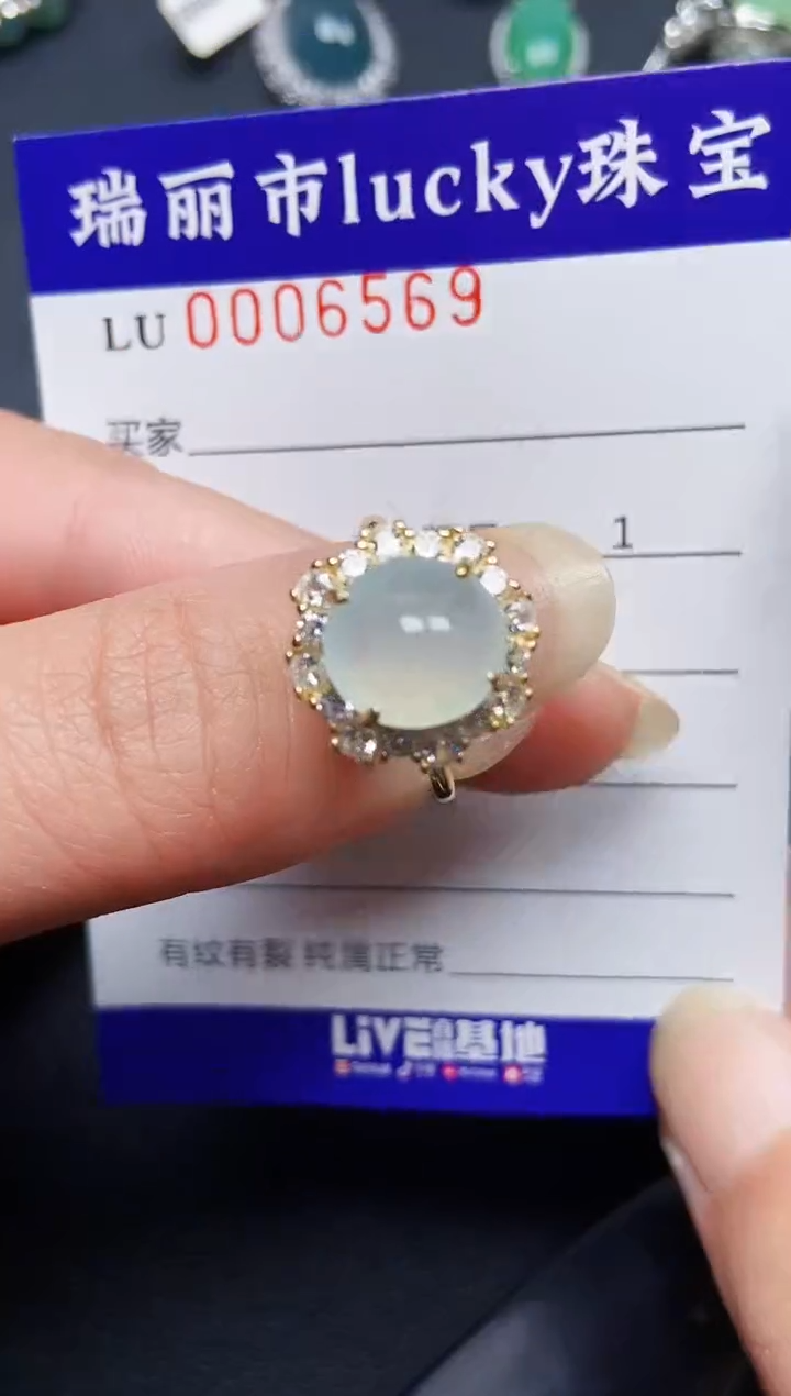 翡翠银S925镶嵌颈饰6569