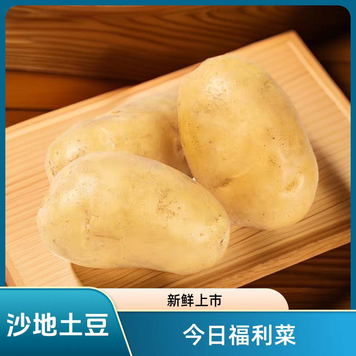 今日福利菜沙地土豆