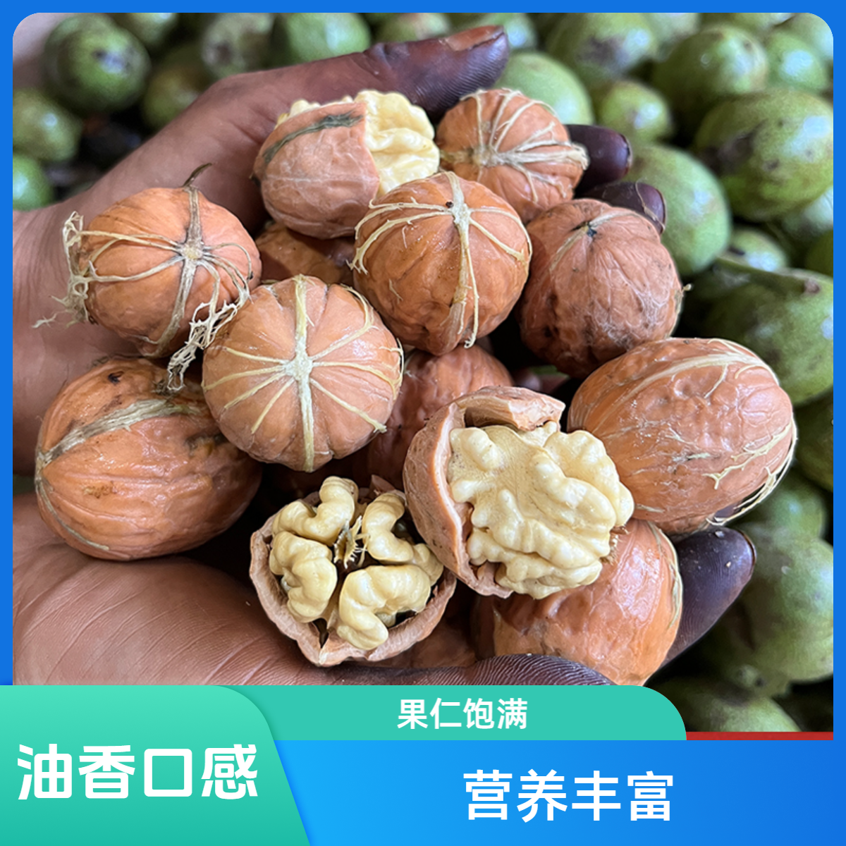 2025陕西秦岭新鲜核桃去青皮薄皮手剥小核桃小果超值3斤5斤装