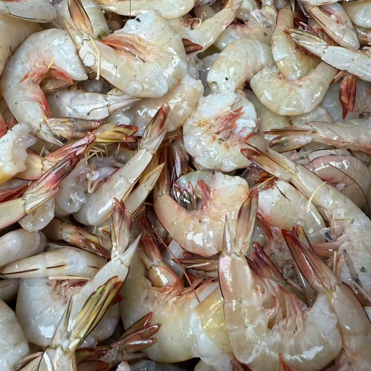 白丁虾尾红虾尾鲜冻发货次日达顺丰快递厦门发货2500g海鲜
