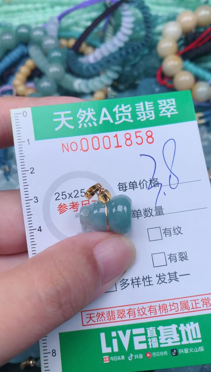 翡翠未镶嵌颈饰.0001858