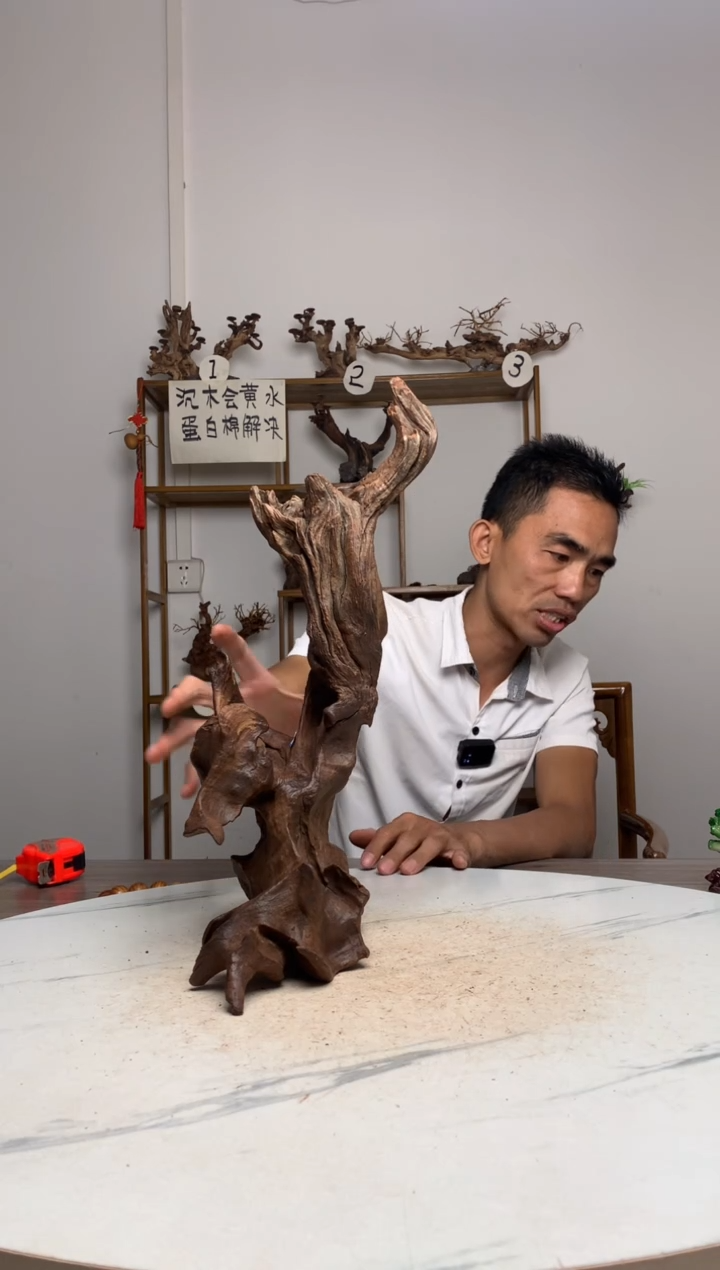 石*界鱼缸造景沉木摆件
