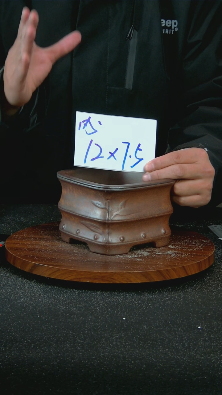 【闪购商品】紫砂P93