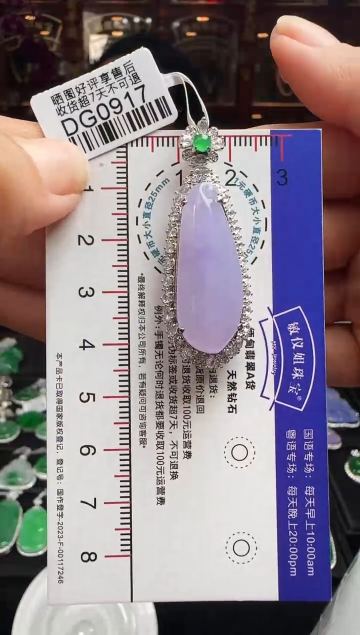 【闪购商品】翡翠颈饰18K金镶嵌DG0917冰紫福瓜