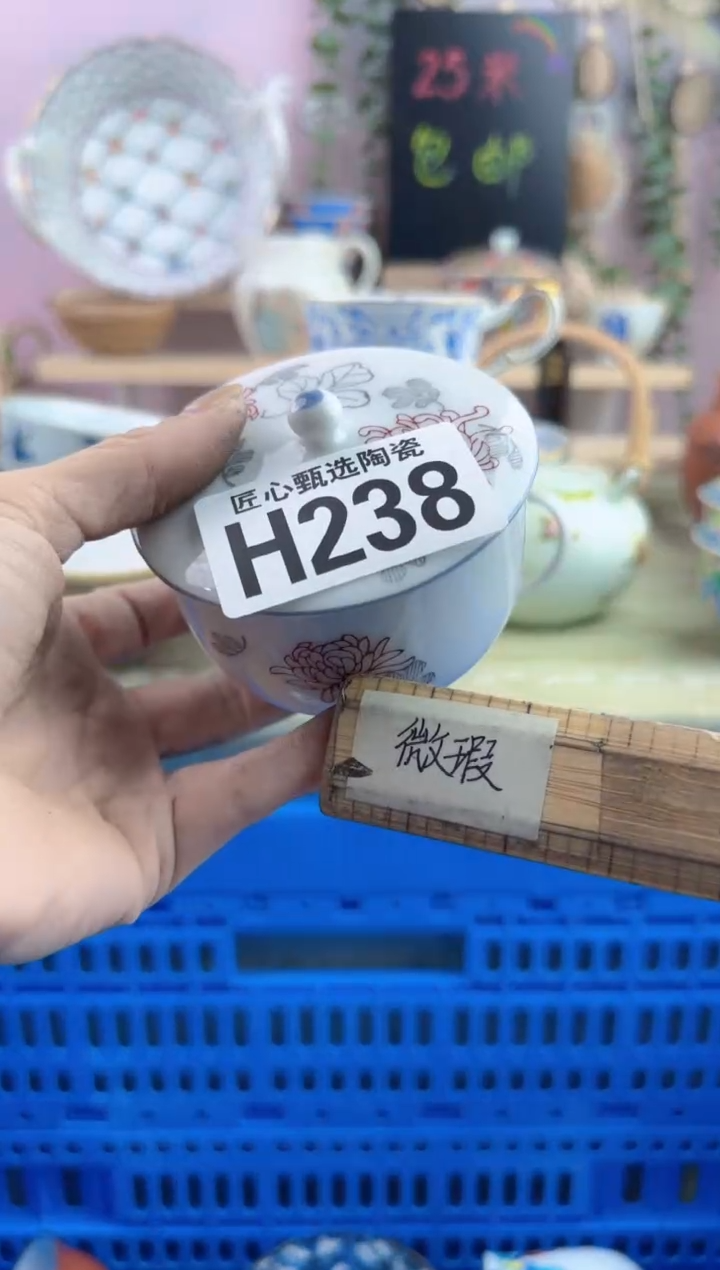 瓷片萤**虫       H238