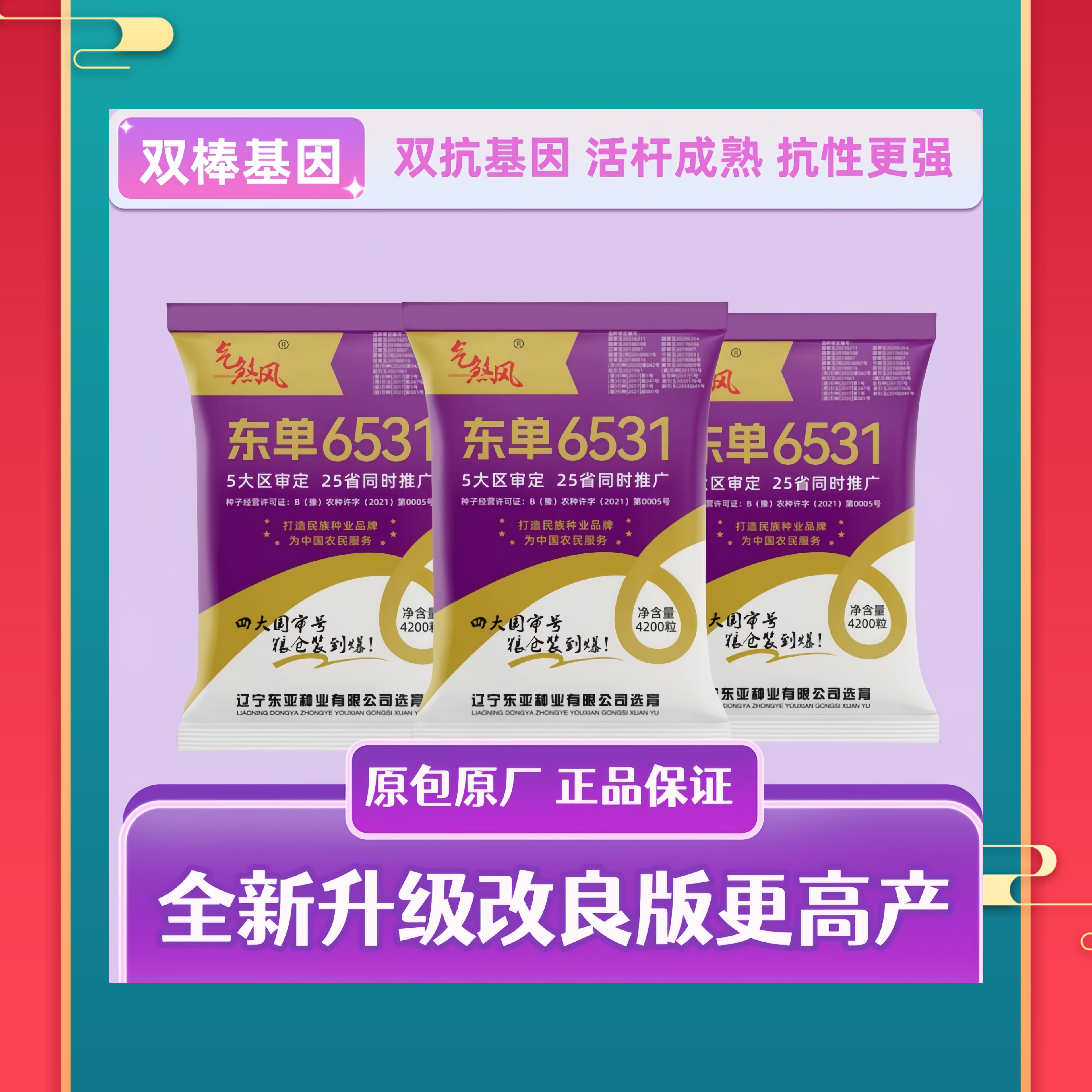 (九袋)五大区审定玉米种子-东单6531