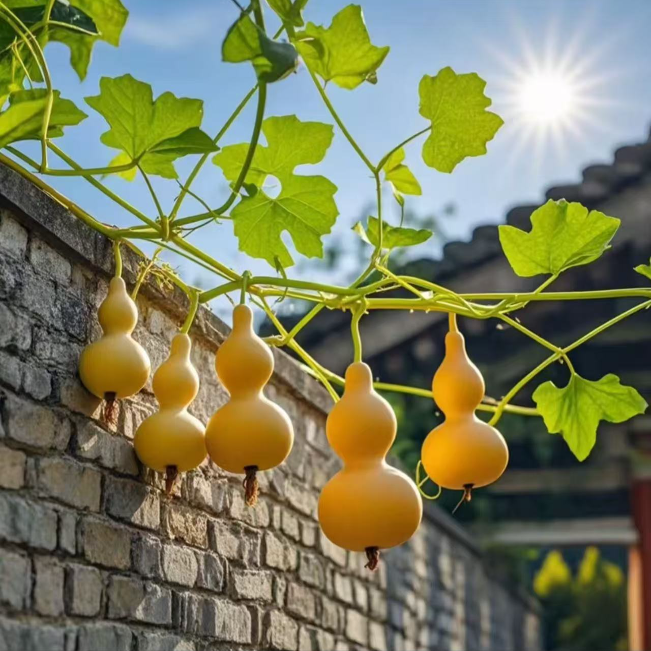 葫芦文玩手把精品天津嘴钱袋子一物一图直播下单链接请勿自行下单