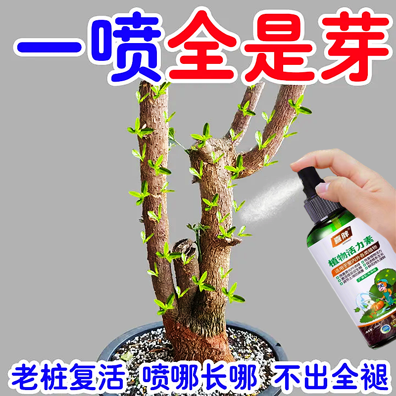 【新芽猛长】老桩催芽剂促芽僵苗快速发新芽防黄叶促花营养复活肥