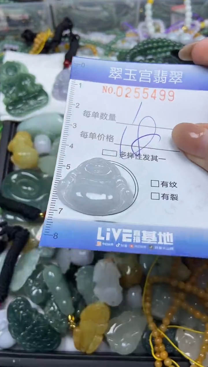 颈饰未镶嵌翡翠闪购C0255499