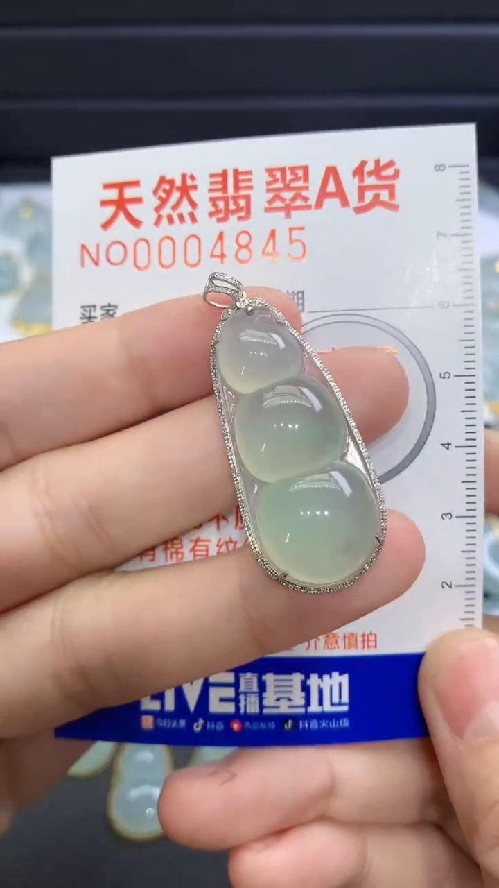 【闪购商品】翡翠颈饰未镶嵌翡翠