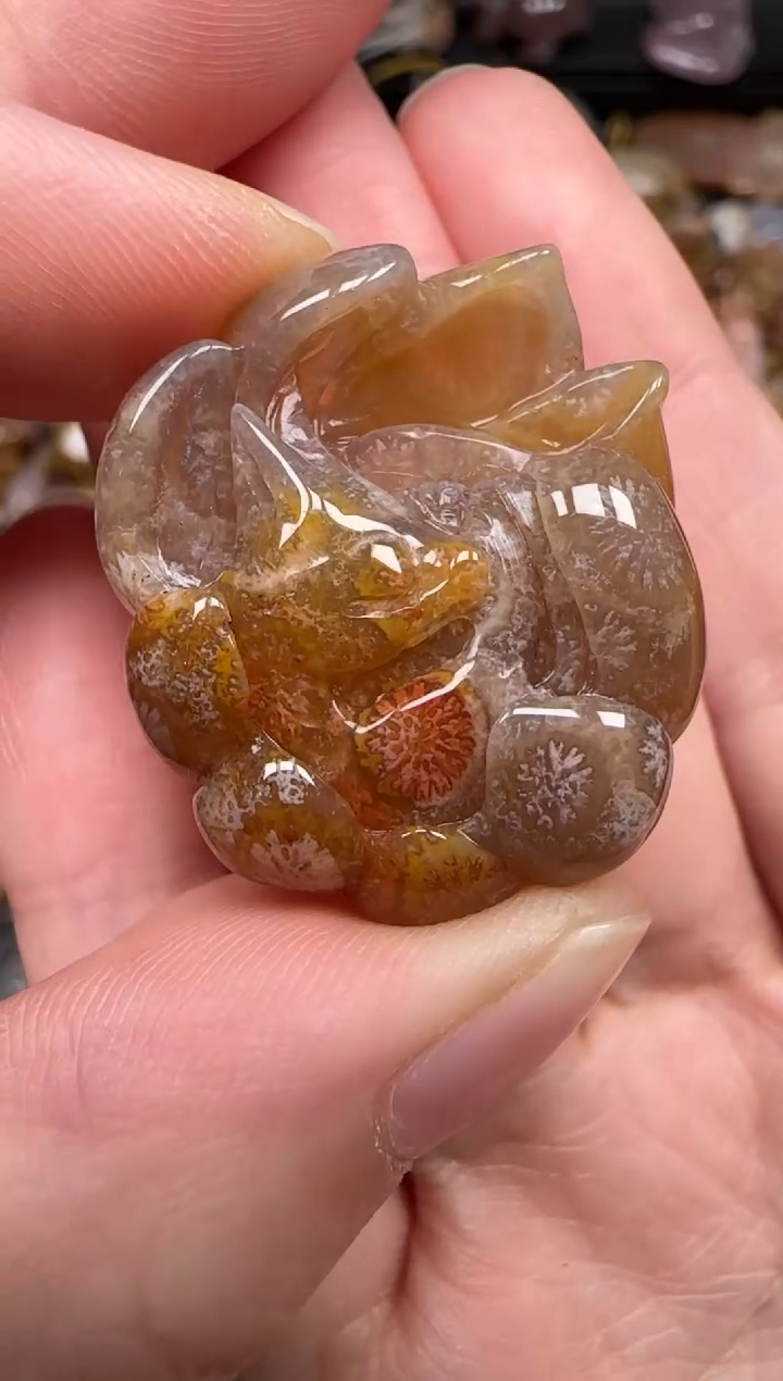 硅化珊瑚（珊瑚玉）未镶嵌颈饰608