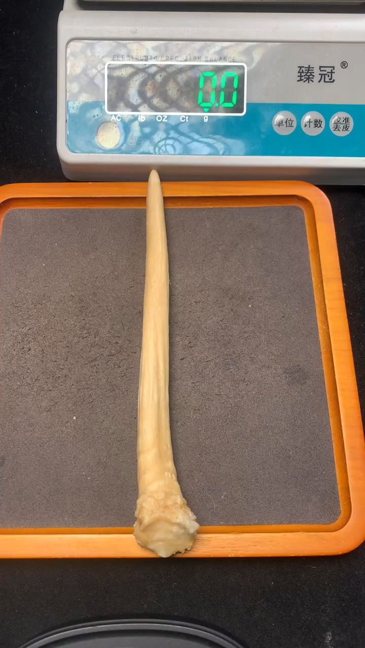 【闪购商品】橄榄核手串/手链猛犸猛犸猛犸猛犸34
