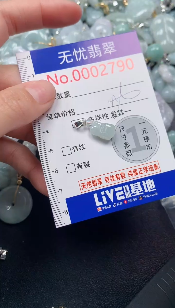 颈饰未镶嵌翡翠2790