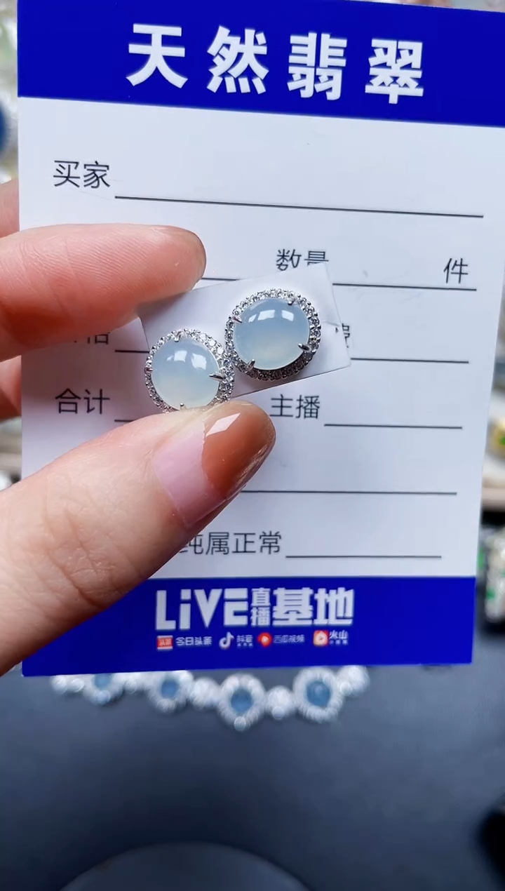 银S925镶嵌翡翠耳饰181