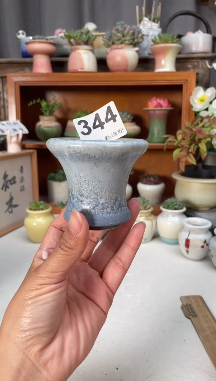 瓷片344小芳直播编号