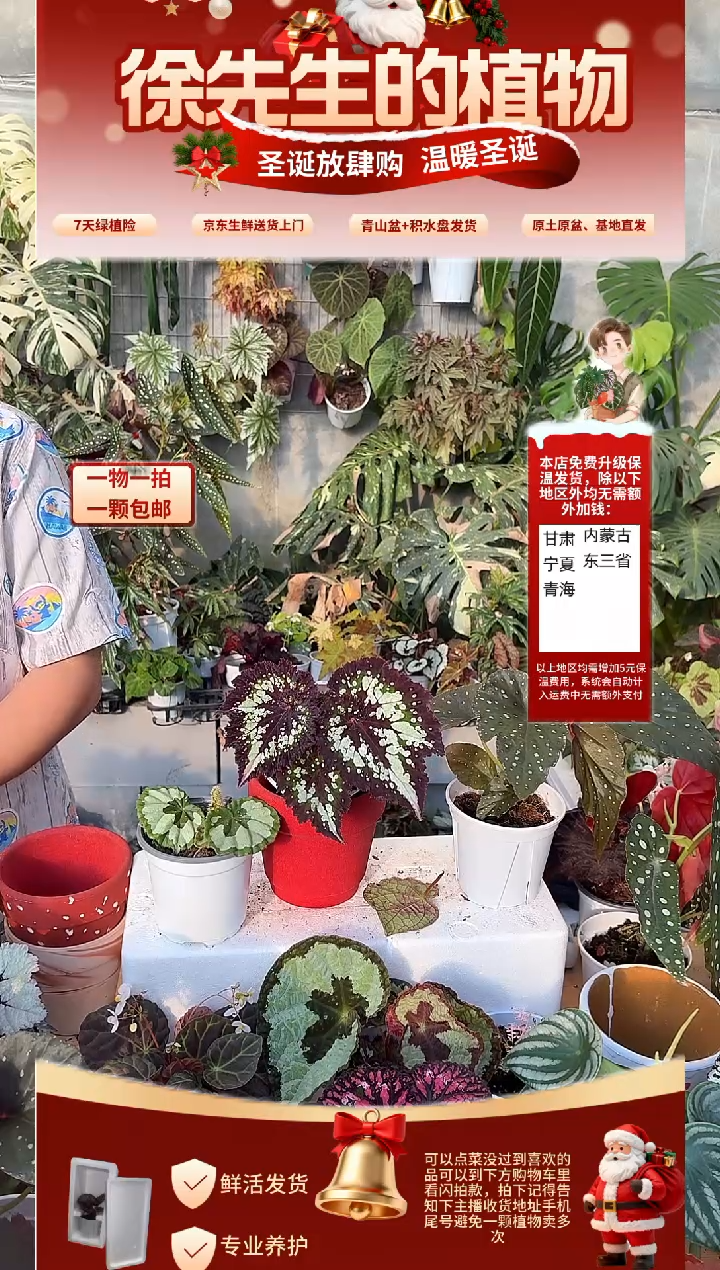 完全开放耶诞嘉年华