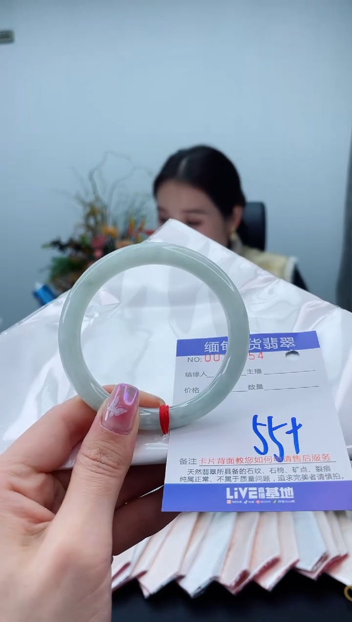 未镶嵌手镯翡翠2