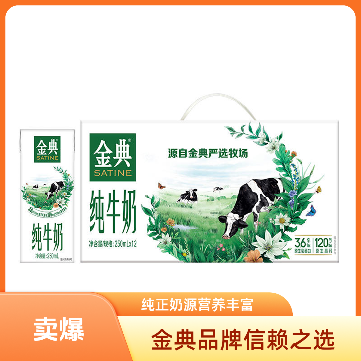 【安徽云仓】（新日期）伊利金典纯牛奶12*250ml