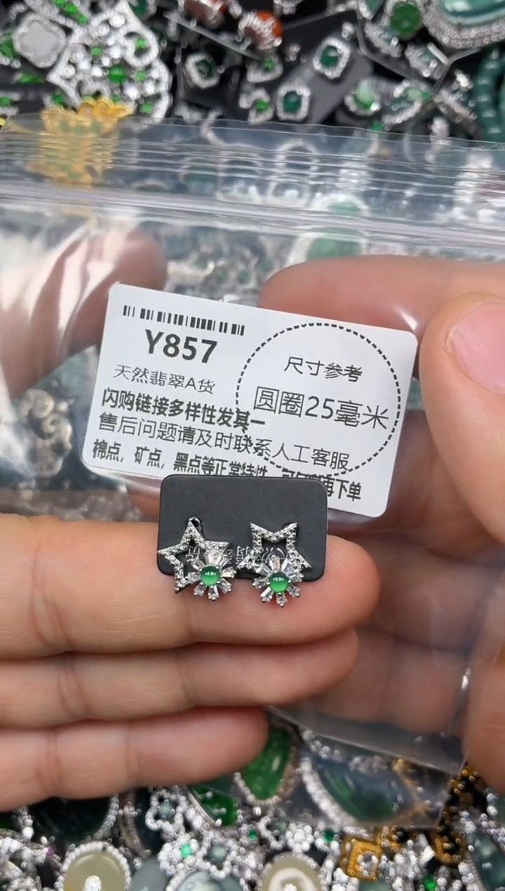 颈饰未镶嵌翡翠Y857耳钉