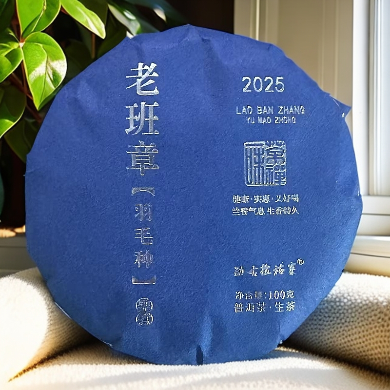 2025年老班章羽毛种普洱生茶饼100克