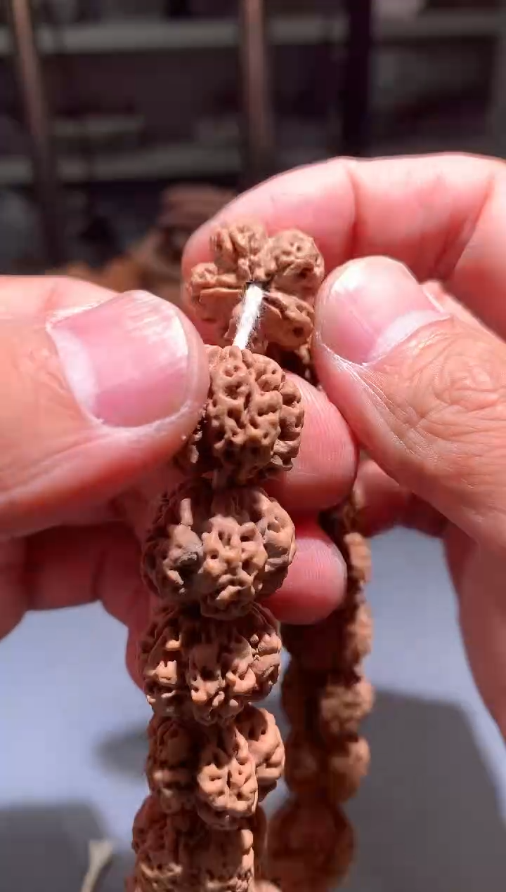 金刚菩提手串371